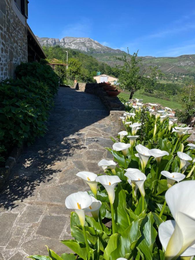 Posada Casa Guadamillas Bustancilles Eksteriør bilde