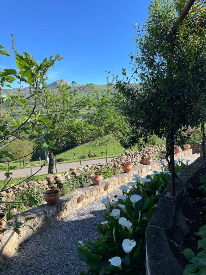 Posada Casa Guadamillas Bustancilles Eksteriør bilde